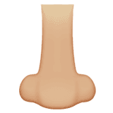 Rhinoplasty